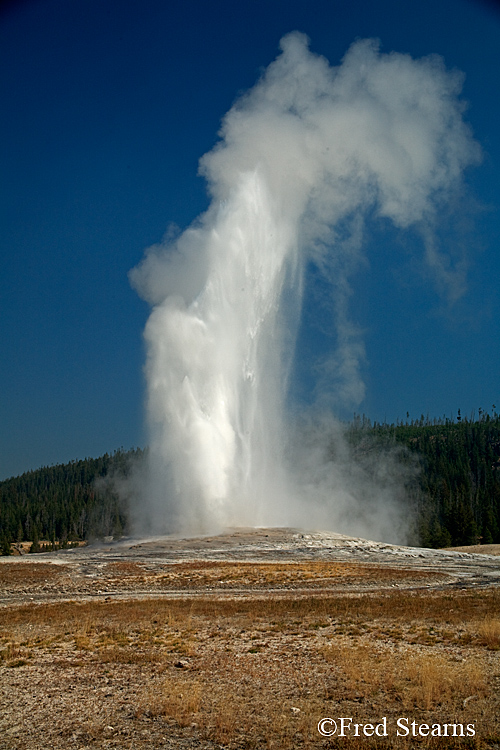 Yellowstone NP Upper Geyser Basin